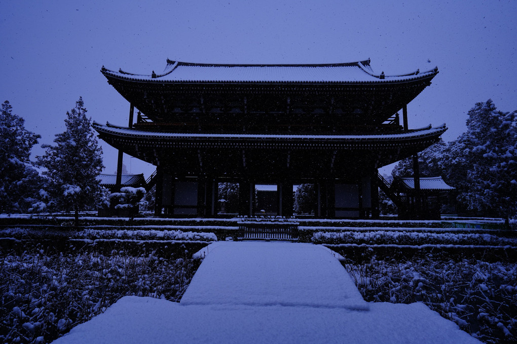 冬の京都散策　東福寺