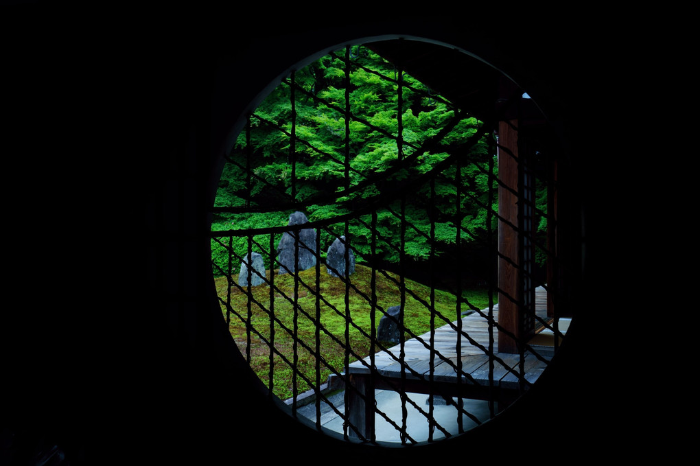 新緑の京都散策　光明院