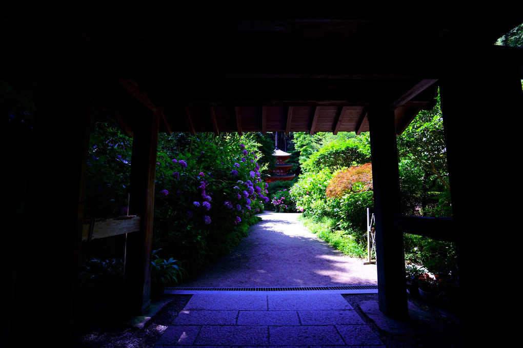 初夏の京都散策　岩船寺