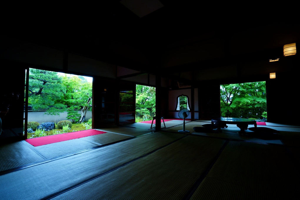 初夏の京都散策　天得院