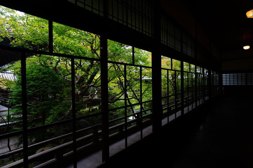 初秋の京都散策　永観堂