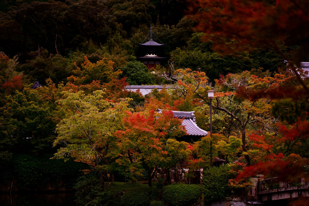初秋の京都散策　永観堂