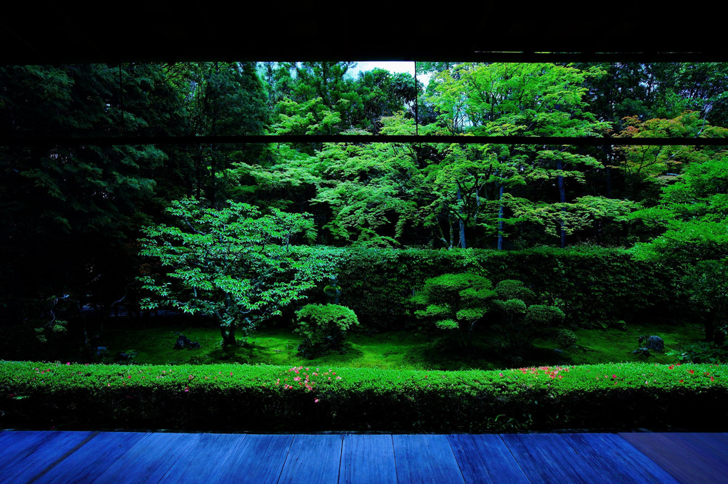 新緑の京都散策