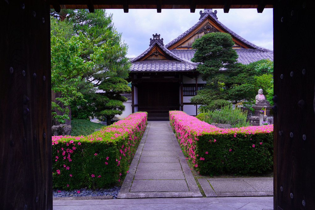 初夏の京都散策　妙心寺 慈雲院