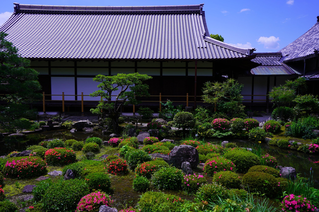 初夏の京都散策　等持院