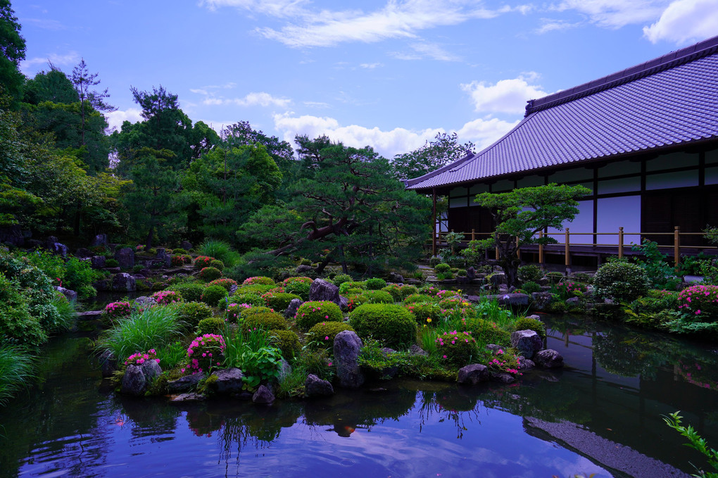 初夏の京都散策　等持院