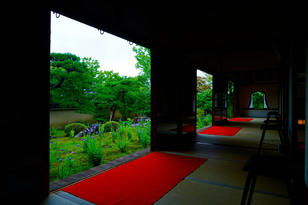 初夏の京都散策  天得院