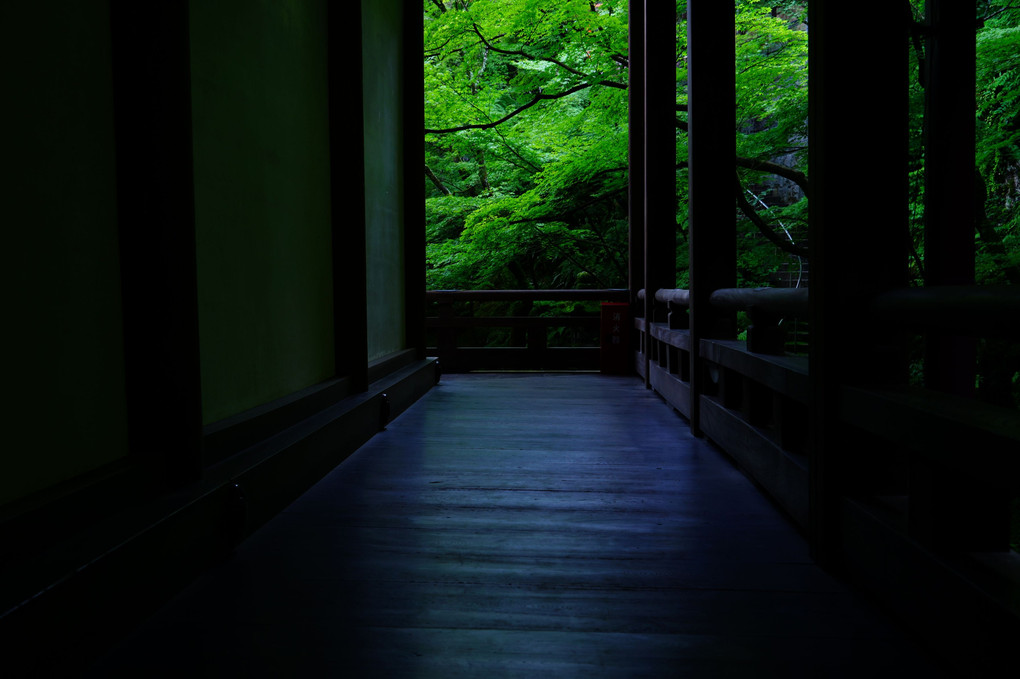 初夏の京都散策　永観堂