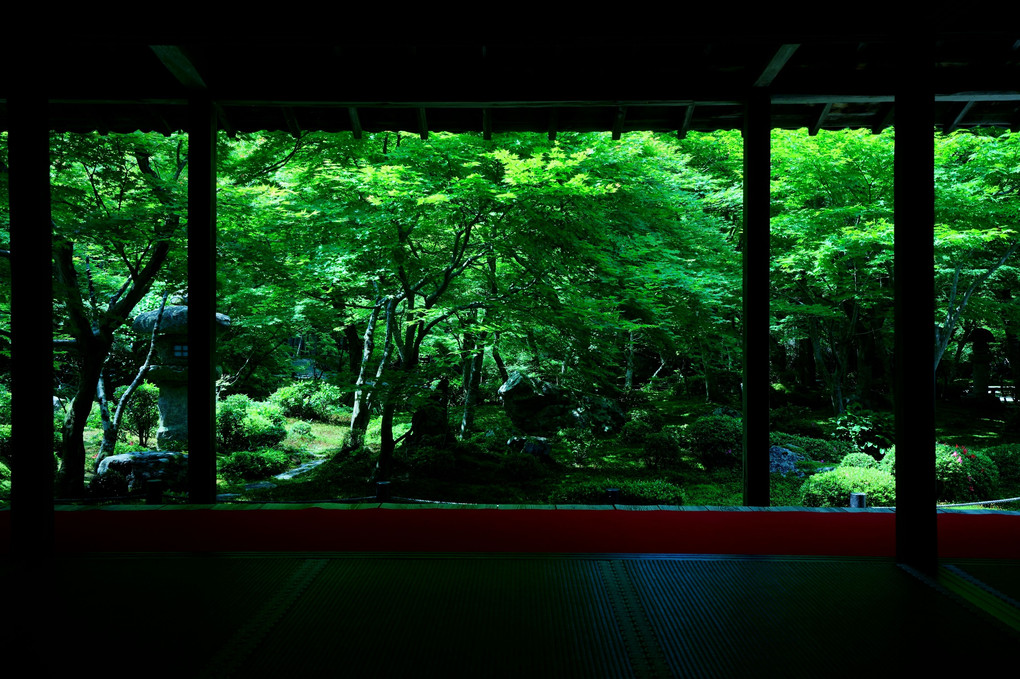新緑の京都散策　圓光寺
