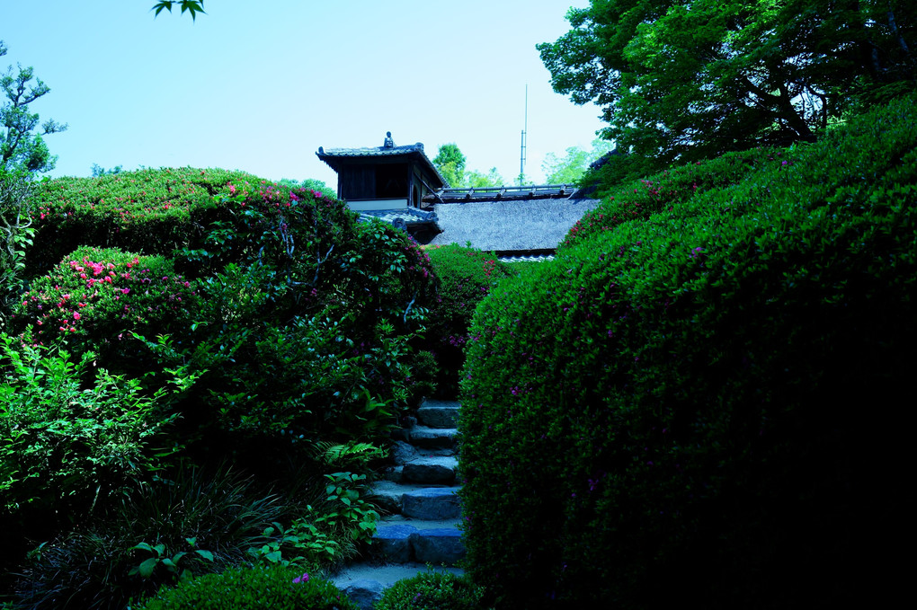 新緑の京都散策　詩仙堂