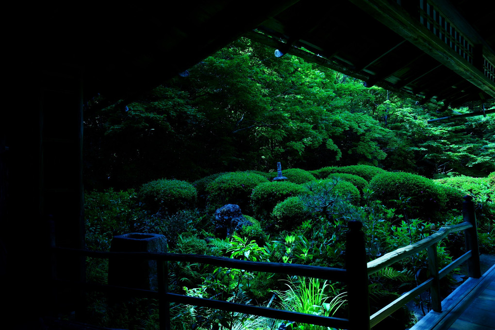 新緑の京都散策　詩仙堂