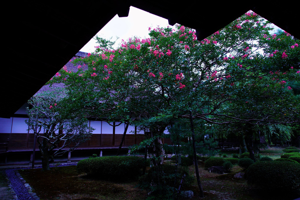 夏の京都散策　嵯峨野