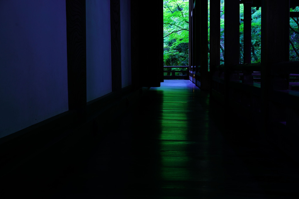 夏の京都散策　永観堂