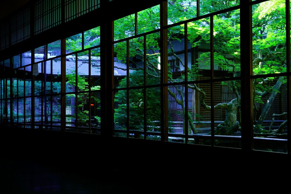 夏の京都散策　永観堂