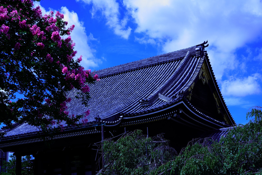 夏の京都散策　佛光寺