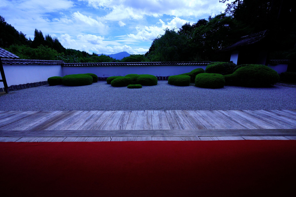 夏の京都散策　正伝寺