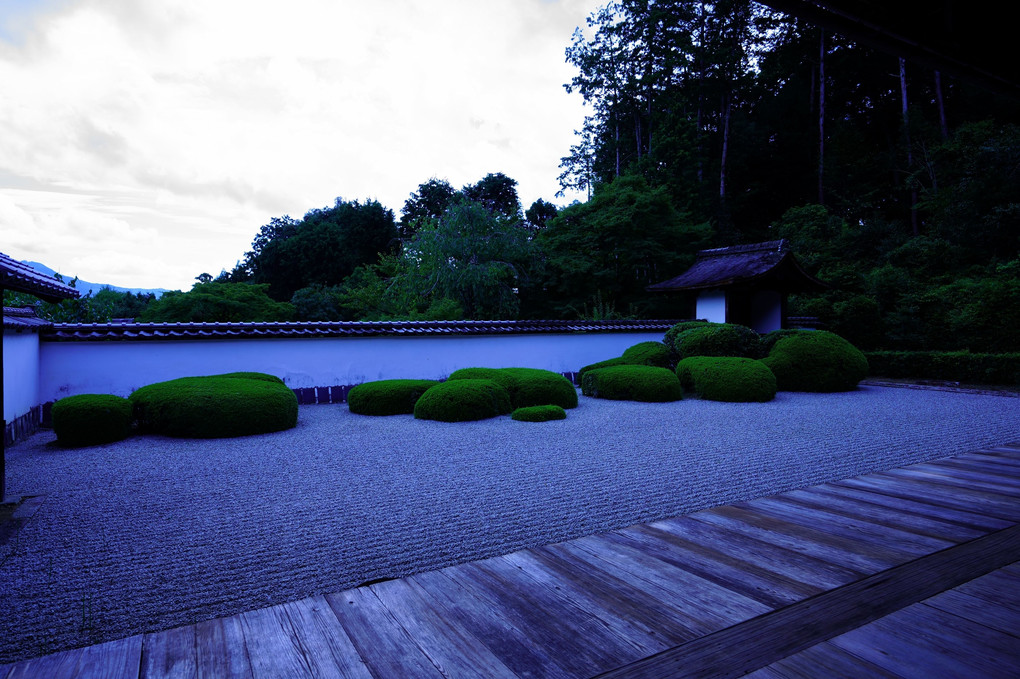夏の京都散策　正伝寺