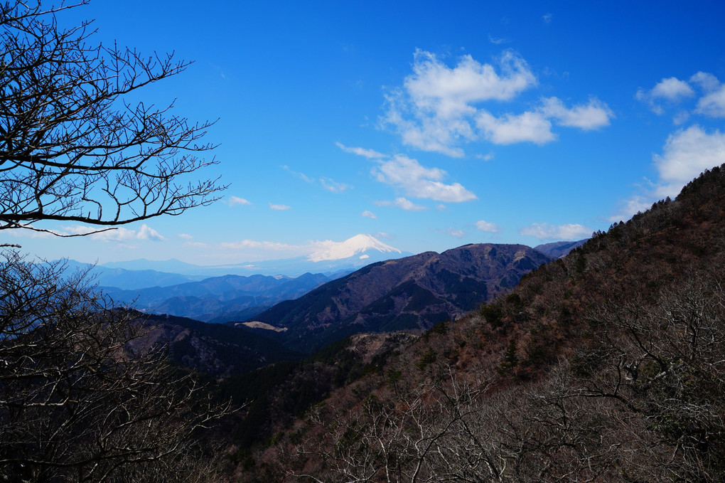 大山（神奈川県）からの富士山