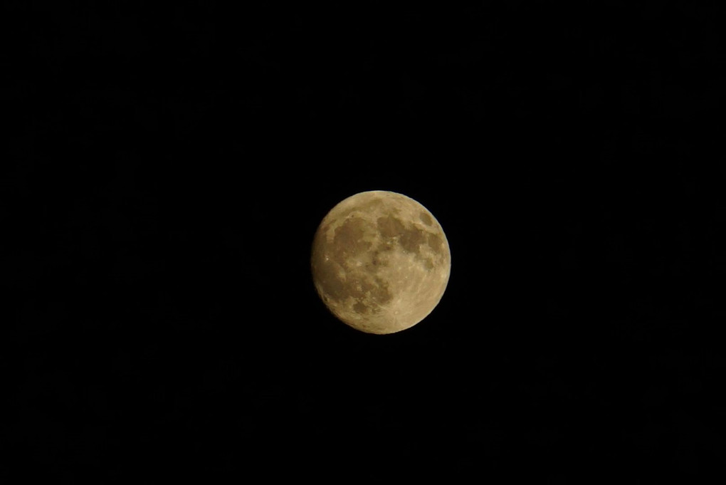 中秋の名月 初めて撮りました！感激！！