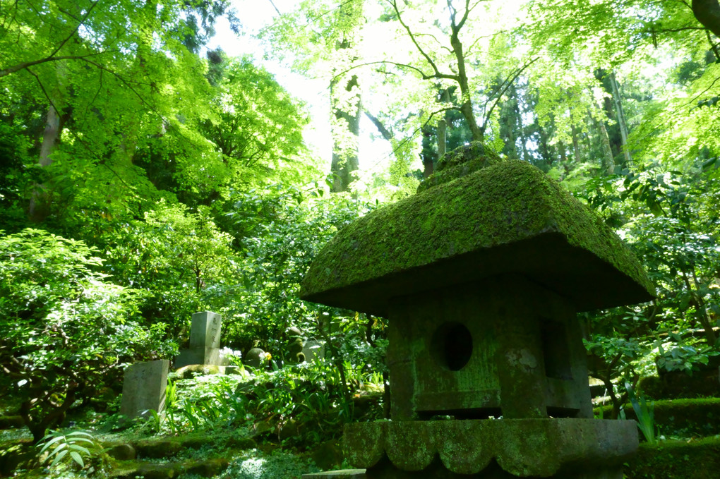 北鎌倉：緑の東慶寺