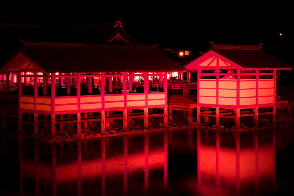厳島神社の夜