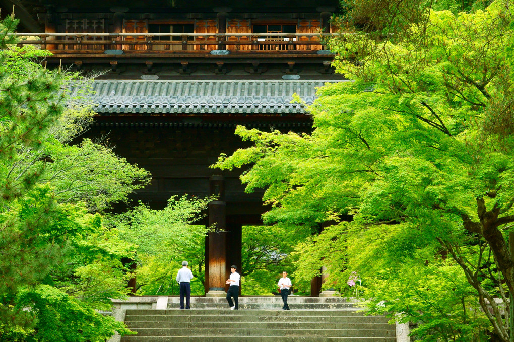 緑の南禅寺