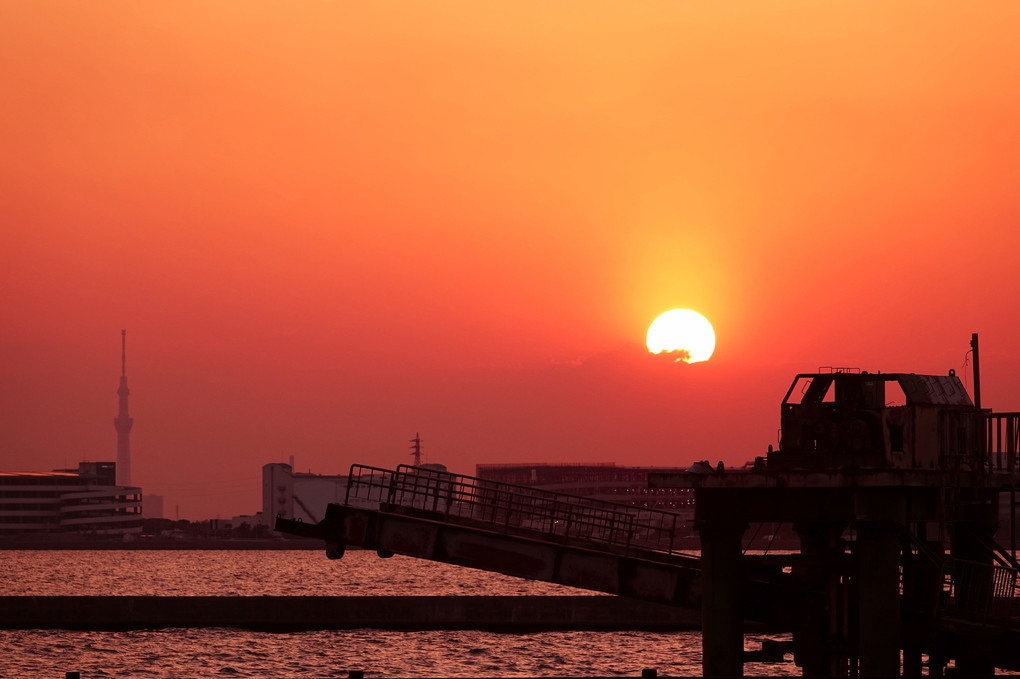 Nostalgic Tokyo Bay Sunset