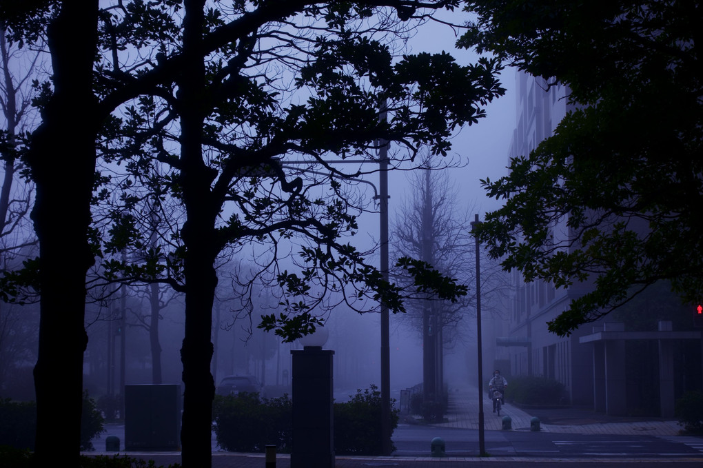 霧の朝・朝の街