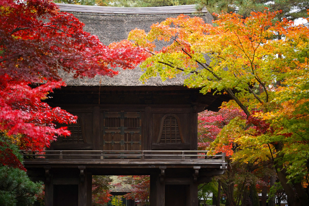 平林寺