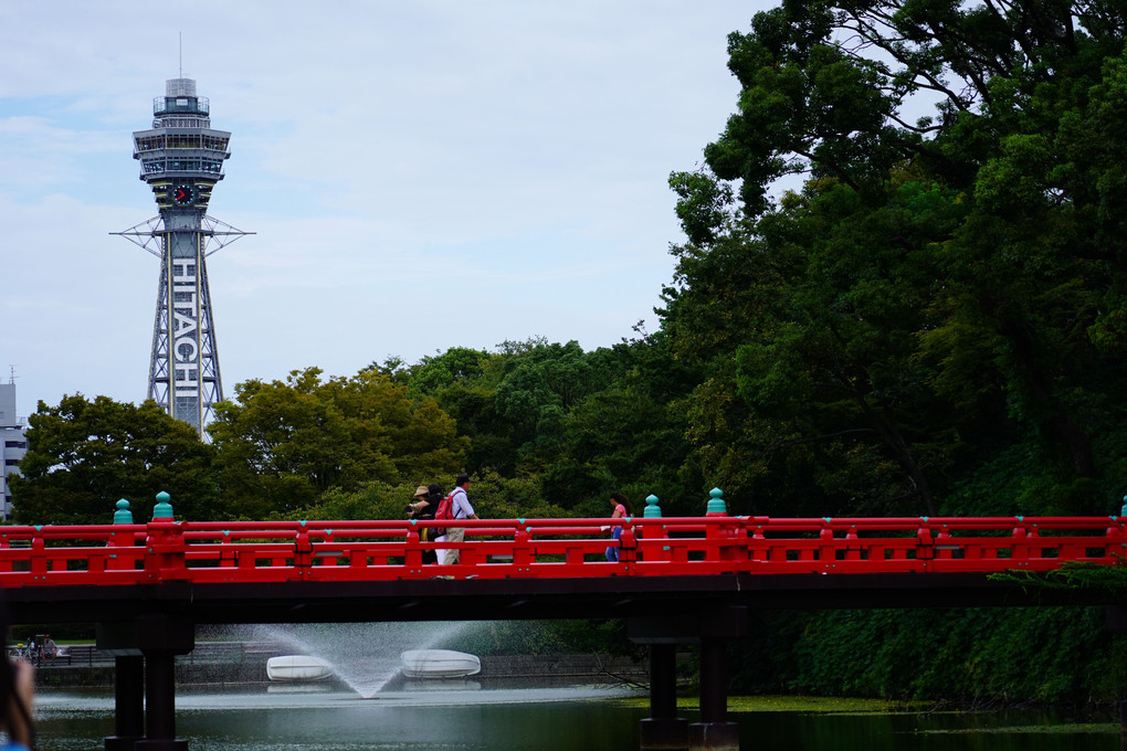 茶臼山公園と慶沢園