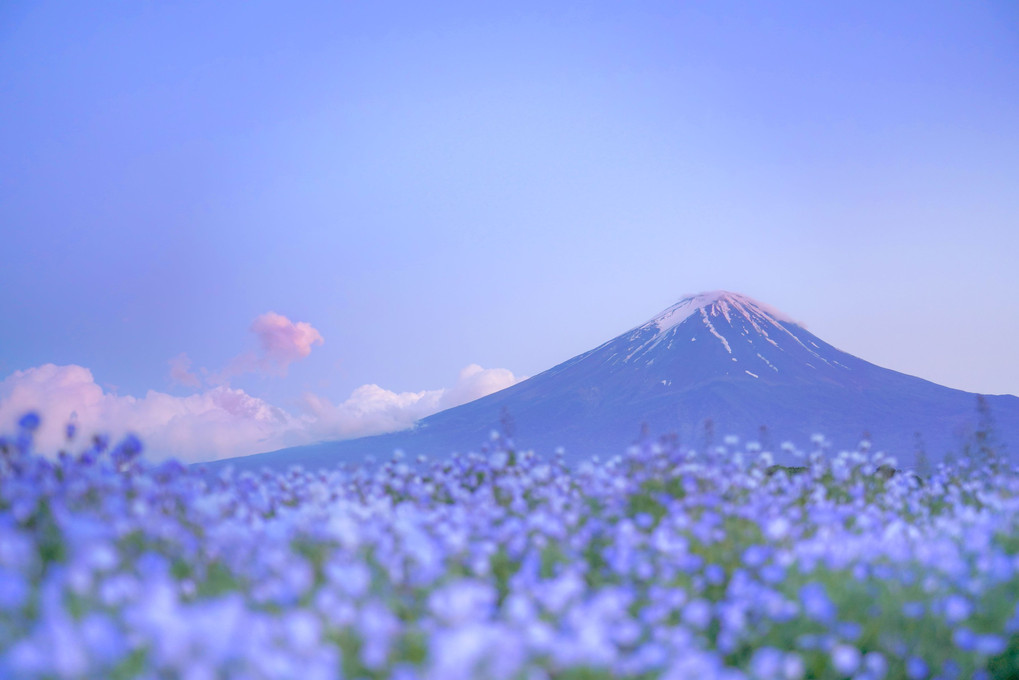 夕暮れ富士とネモの海　#カレンダー2024