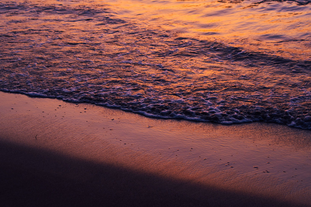 Seaside Sunset 
