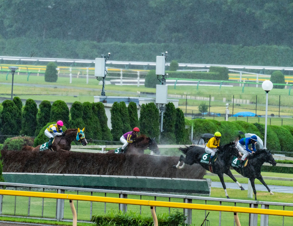 雨の東京競馬場