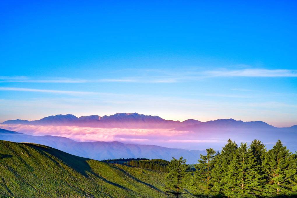 朝の情景