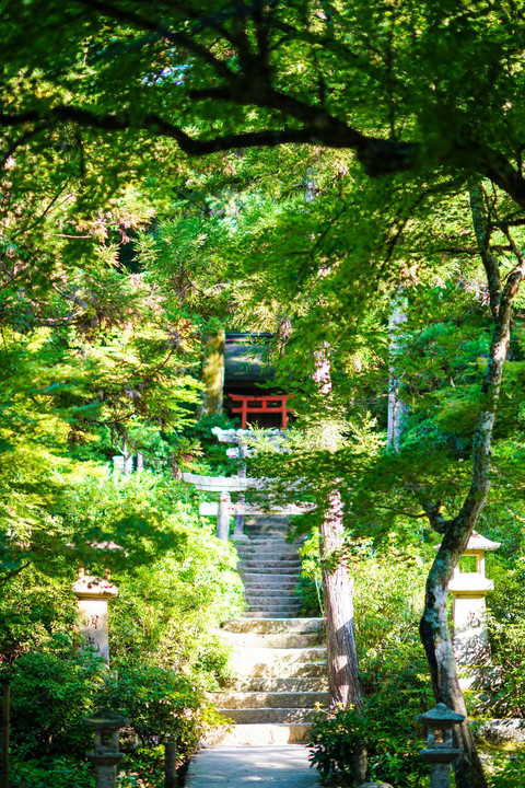 宮島 四宮神社の風景