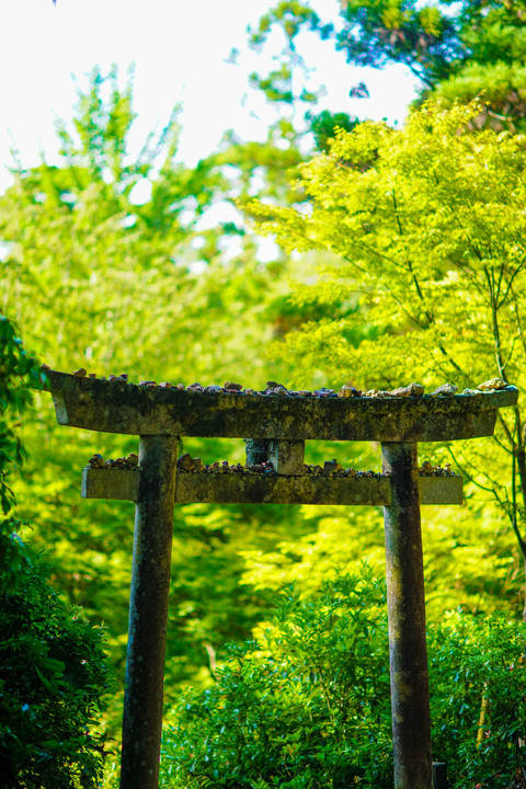 紅葉谷公園の四宮神社の風景