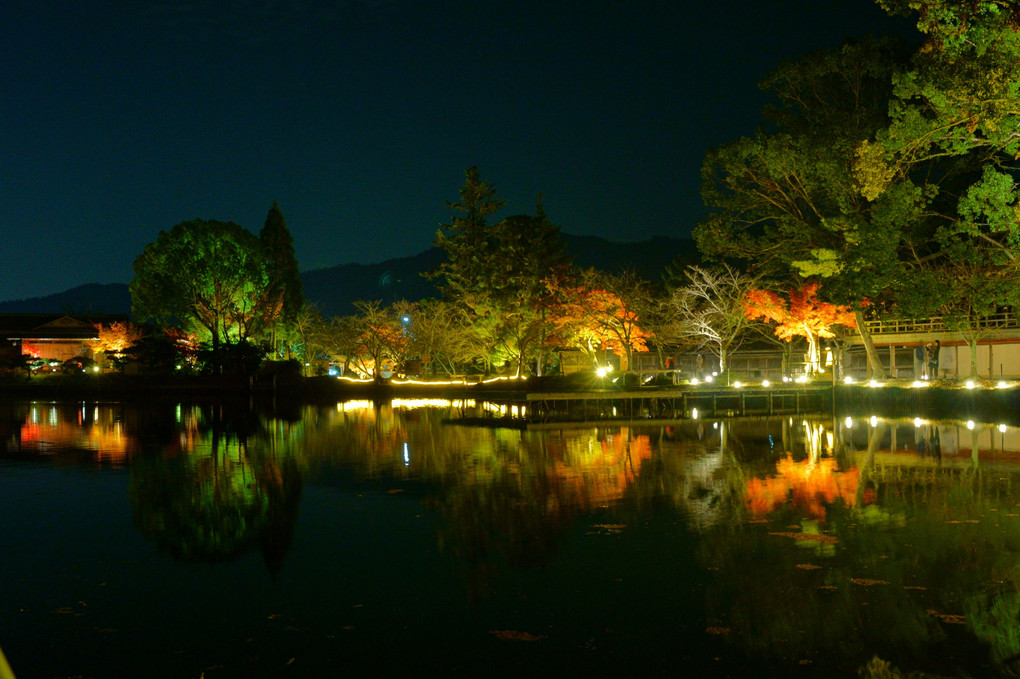 西山の秋　夜韻を楽しむ