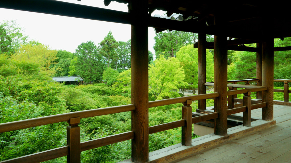 梅雨の止み間の東福寺