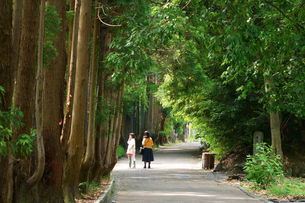 京都嵯峨 2020年の今昔