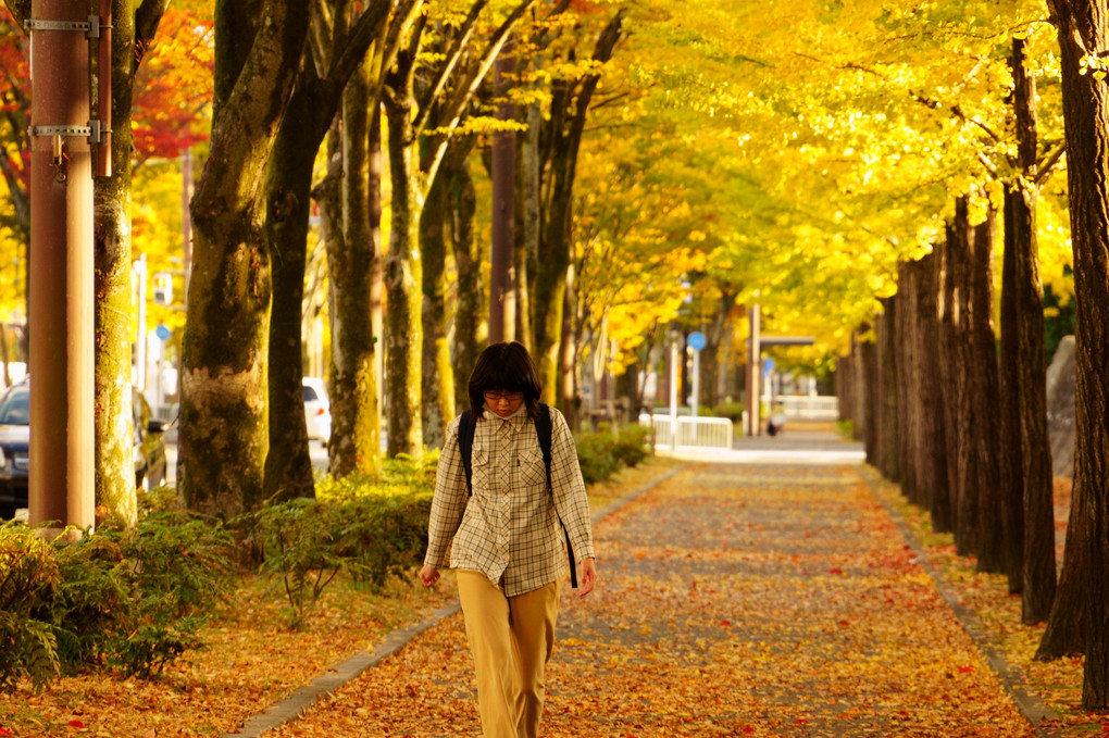 京都西山の秋'20　落葉を踏みしめて