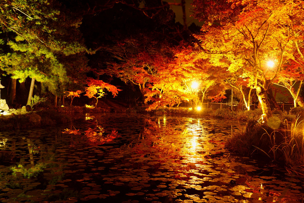 京都西山の秋'21　都人の夢のあと