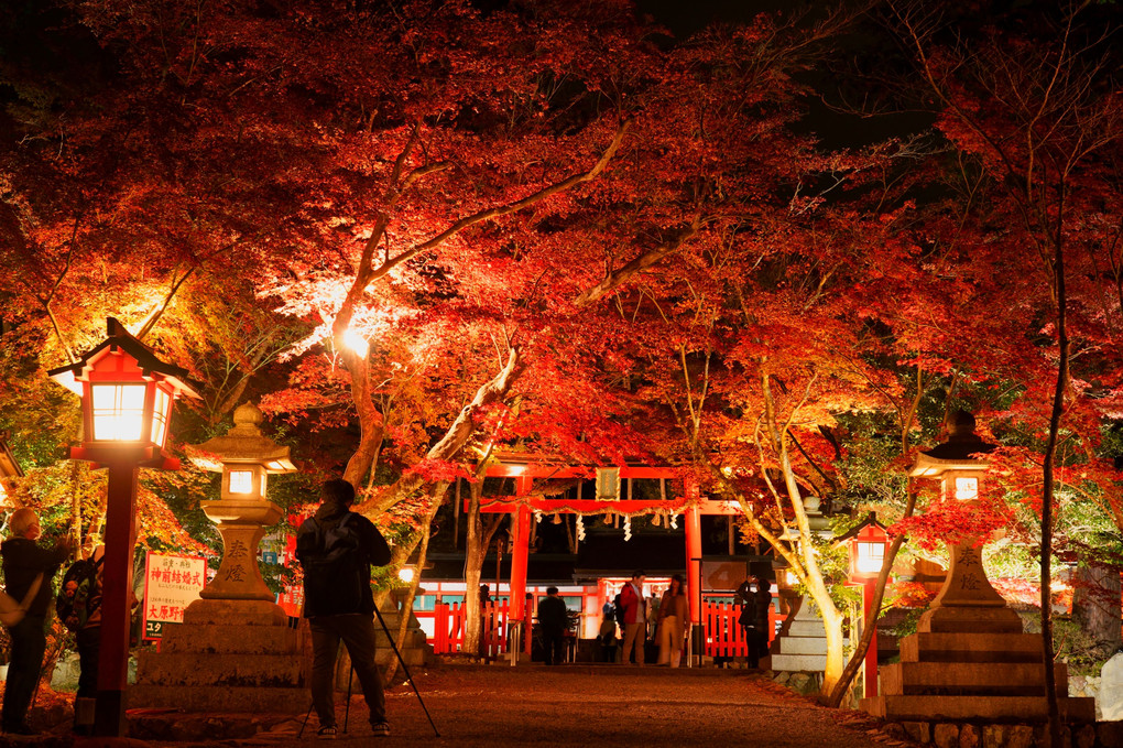 京都西山の秋'21　都人の夢のあと