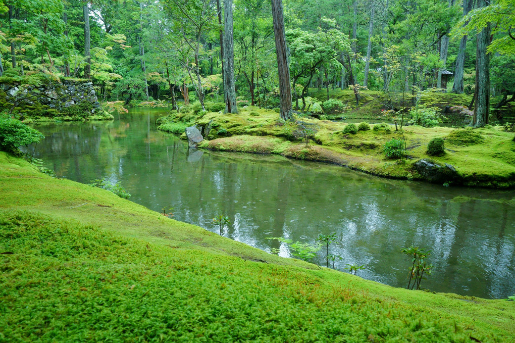 The moss  garden　心字池