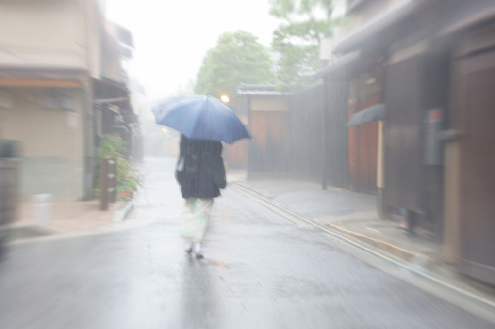 洛中驟雨