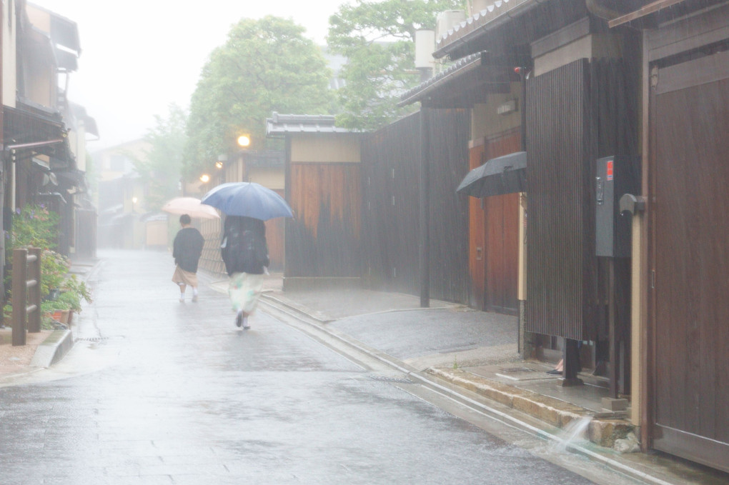 洛中驟雨