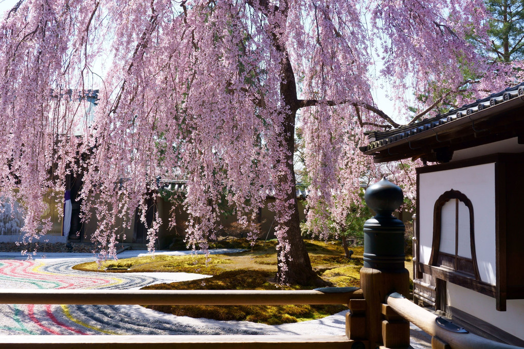 春の佇まい