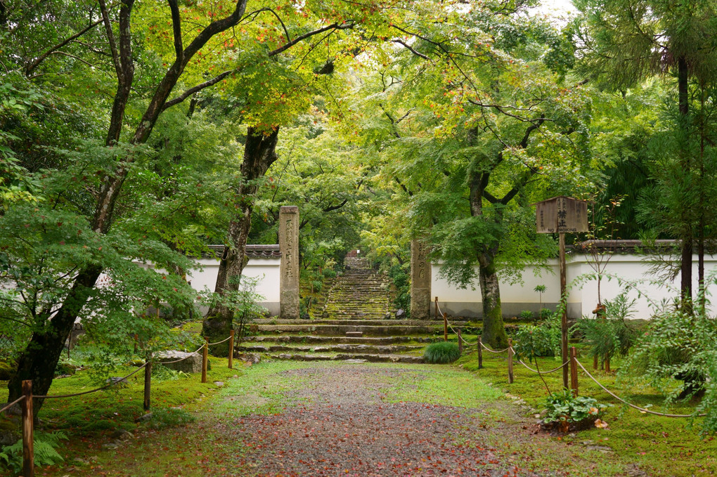 京都西山の緑'21　浄住寺の四季(4枚組)