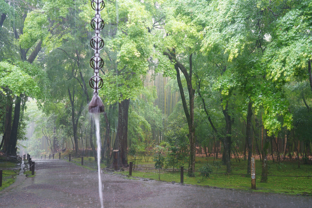 雨宿りの地蔵院