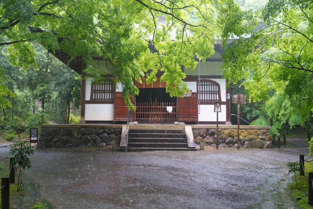 雨宿りの地蔵院