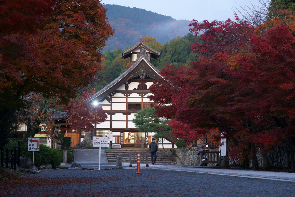 京都　西山の秋'22　朝ぼらけの参道